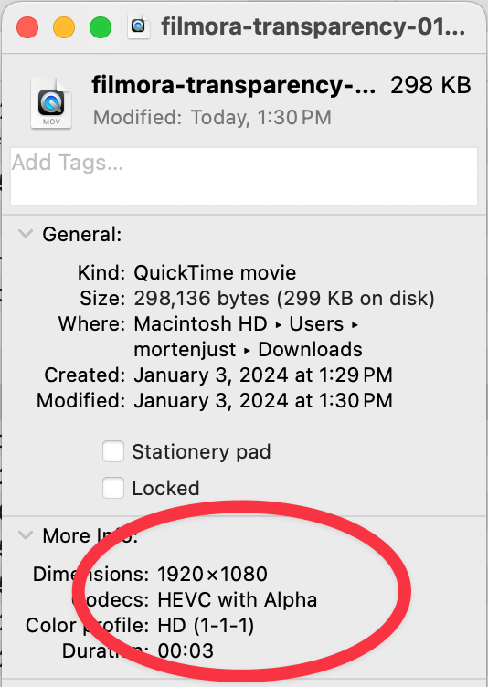 A screenshot of Get Info in Finder, revealing which format a video was saved with
